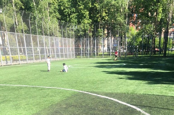 В Липовом парке заменили покрытие на футбольном поле